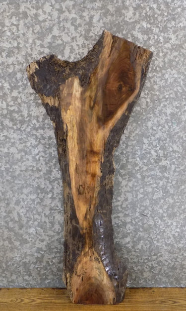 Reclaimed Live Edge Black Walnut Accent/Side Table Top Slab 1785